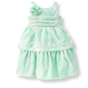 Janie and Jack Light Green Floral Special Occasion Dress